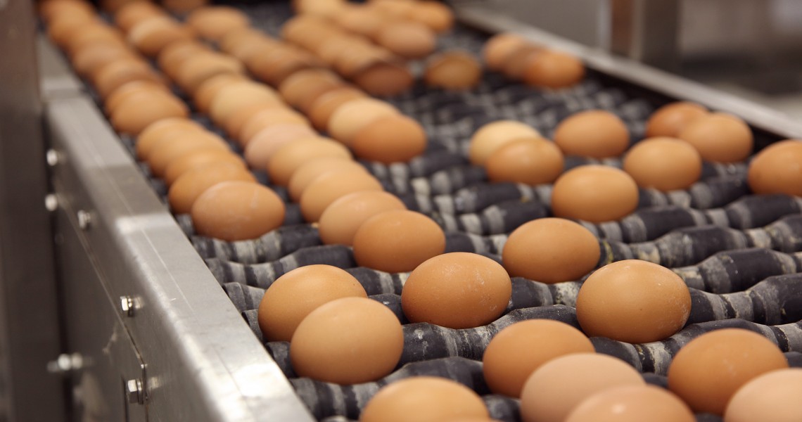 Μαζική απόσυρση αυγών από σούπερ μάρκετ σε Ολλανδία και Γερμανία