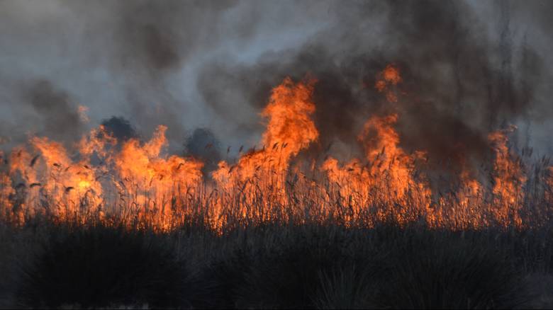Αυξάνεται ο κίνδυνος δασικών πυρκαγιών στη Μεσόγειο