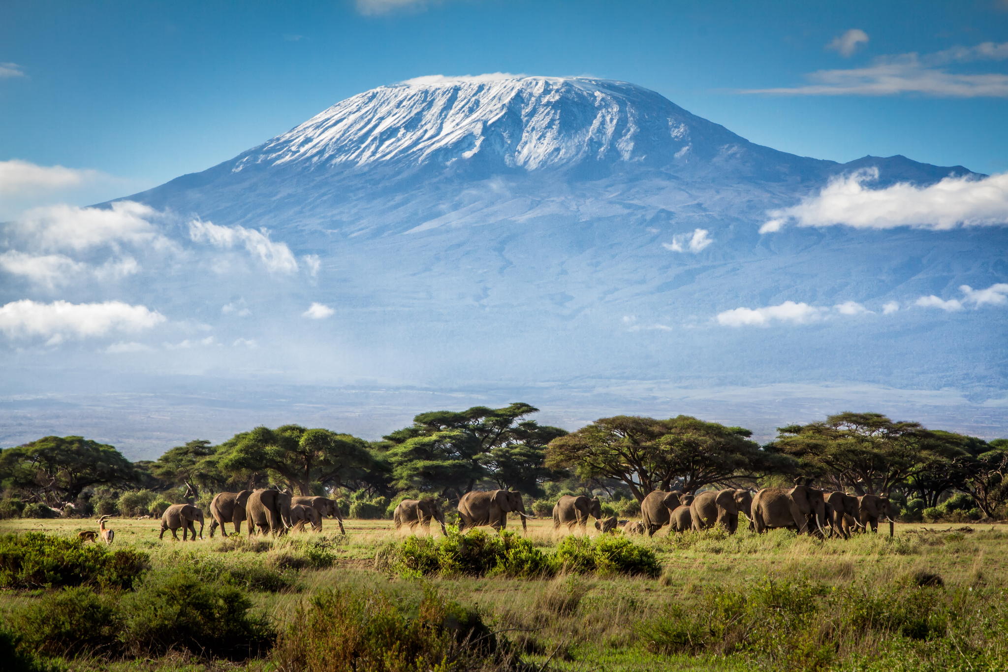 Ο ΕΟΣ Χανίων σε εκδήλωση για την ανάβαση στο Kilimanjaro το 2016