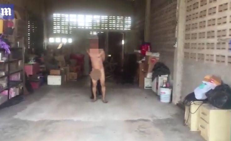 Συνελήφθη γυμνός αφού τον έπιασαν να κάνει σεξ με αγελάδα