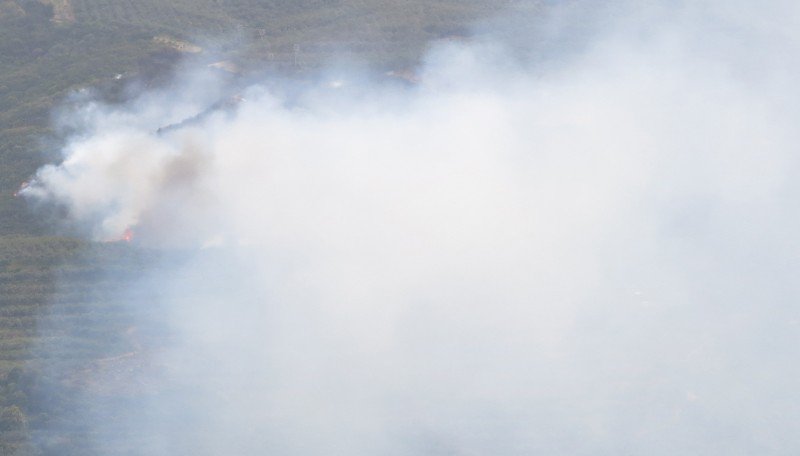 Ο απολογισμός της πρώτης μεγάλης πυρκαγιάς στα Χανιά ενόψει καλοκαιριού