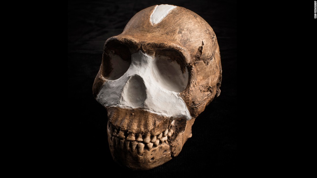 Άγνωστος συγγενής, ο Homo naledi, ζούσε παράλληλα με τον Homo sapiens