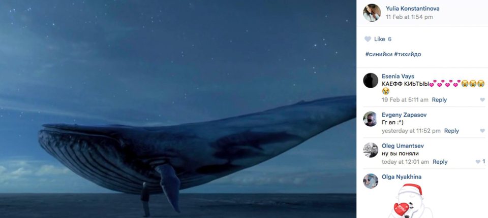 Η αστυνομία προειδοποιεί για το φονικό διαδικτυακό παιχνίδι «Μπλε Φάλαινα»