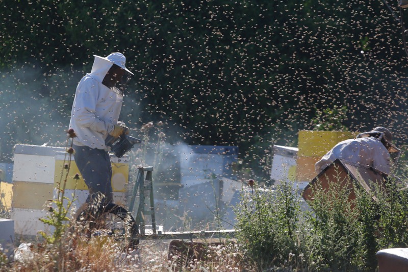 Ενημέρωση μελισσοκόμων απο την Δ/νση Αγροτικής Οικονομίας Χανίων