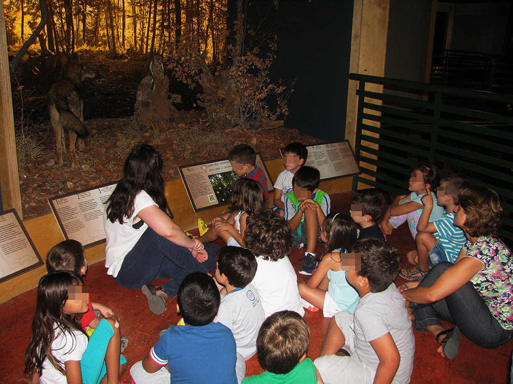 Καλoκαιρινά Εβδομαδιαία Προγράμματα για παιδιά στο Μουσείο Φυσικής Ιστορίας