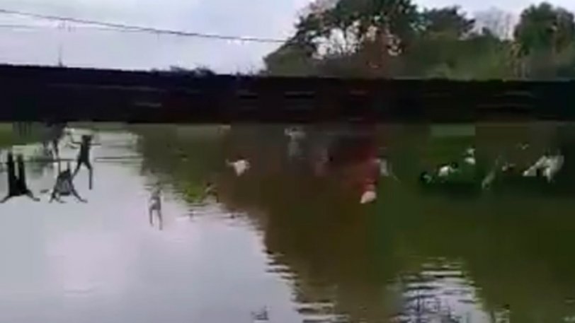 Γέφυρα καταρρέει και κόσμος πέφτει στο νερό (βίντεο)