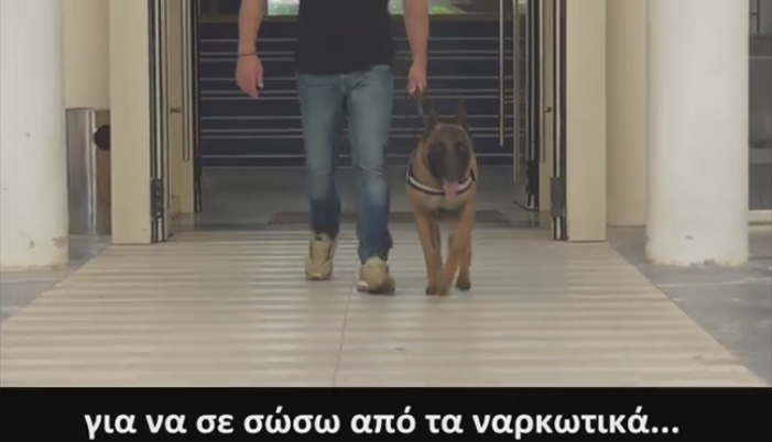 Ο σκύλος Κάλιμαν πρωταγωνιστεί στο σποτ της ΕΛΑΣ για τα ναρκωτικά