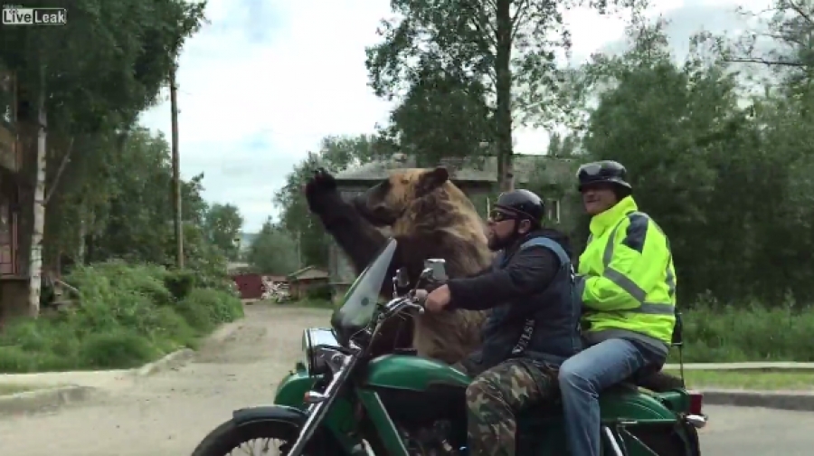Αυτά… μόνο στη Ρωσία! – Η.. μηχανόβια αρκούδα (βίντεο)