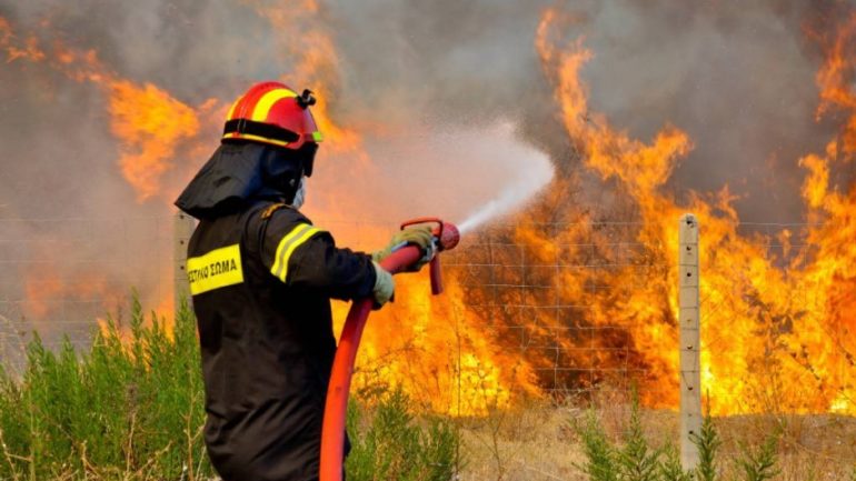 Στην μάχη με τις φλόγες – Πυρκαγιά σε φαράγγι του Λασιθίου