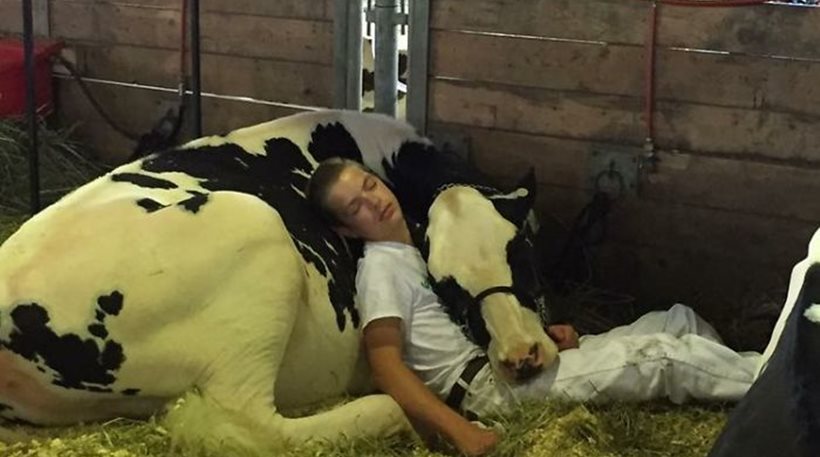 Η φωτογραφία του εξαντλημένου αγοριού και της αγελάδας που έγινε viral