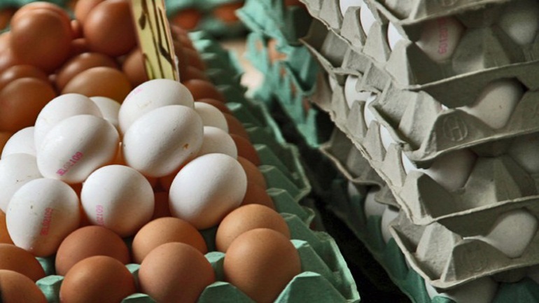 Μολυσμένα αβγά: Σε… επιφυλακή οι Έλληνες παραγωγοί