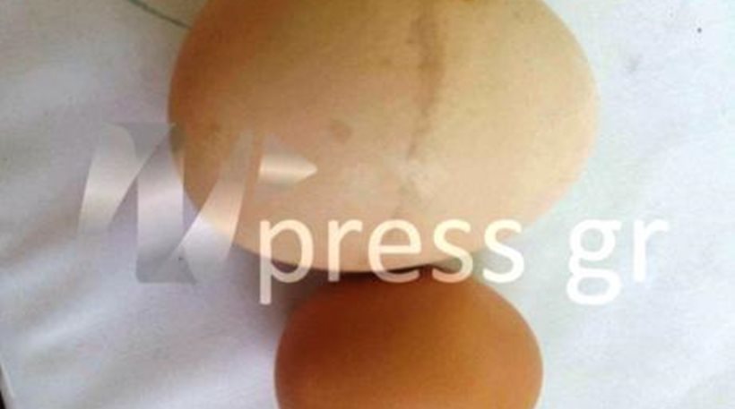 Απίστευτο αυγό γίγας στη Ναυπακτία (βίντεο)