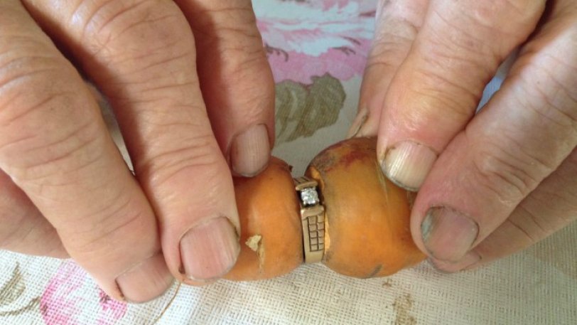 Εχασε το δαχτυλίδι των αρραβώνων της πριν 13 χρόνια -Το βρήκε σε καρότο