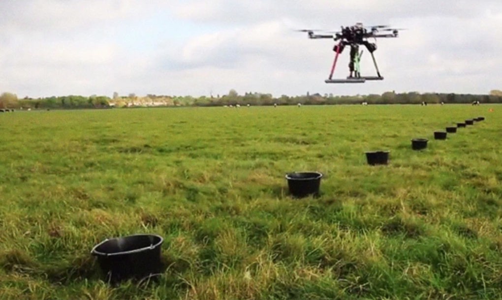 Φυτεύουν ολόκληρο δάσος με drones
