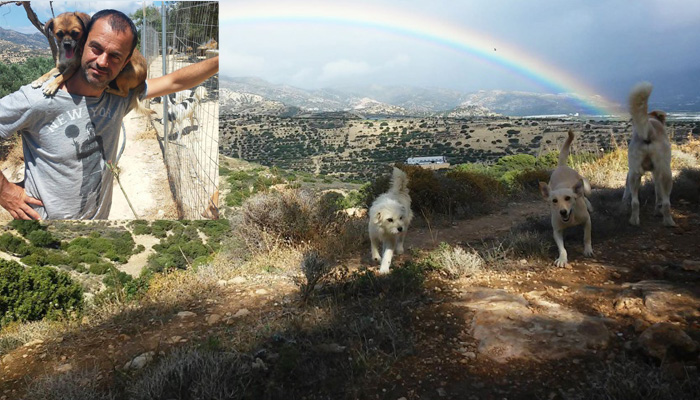 Ο άντρας που ζει στην Κρήτη συντροφιά με διακόσια πενήντα σκυλιά