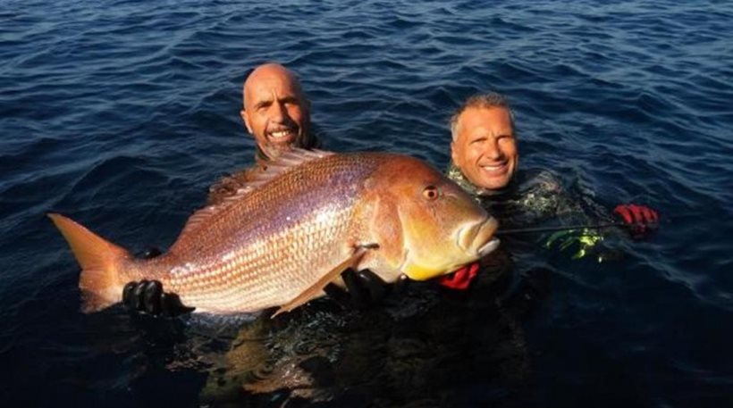 Η συναγρίδα 11 κιλών που χάρισε το παγκόσμιο ρεκόρ σε Έλληνα ψαροντουφεκά!