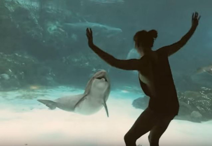 Αυτό το δελφίνι ξεκαρδίζεται στα γέλια με το νεαρό κορίτσι! (βίντεο)