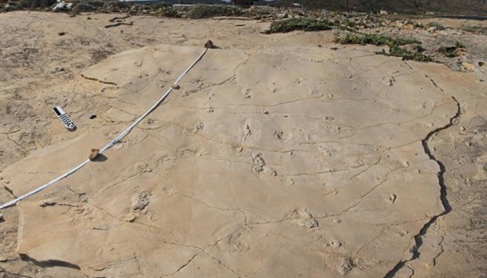 Νέα μελέτη: 6,05 εκατ. ετών οι πατημασιές στον Τράχηλο Κισάμου