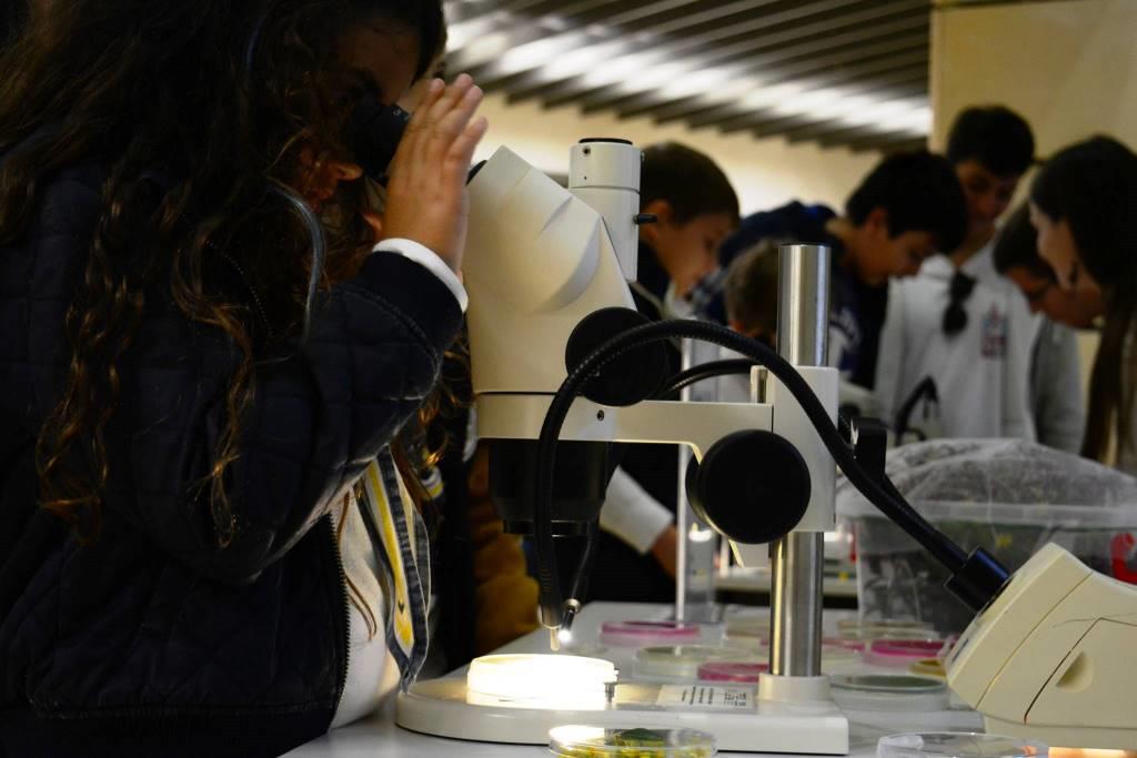 Ημέρα Επιστήμης και Τεχνολογίας: 4.500 μαθητές “γνώρισαν” το μέλλον