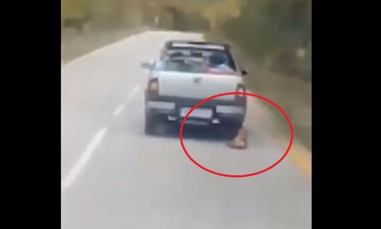Αθώος ο οδηγός που έσερνε σκύλο από την καρότσα (βίντεο)
