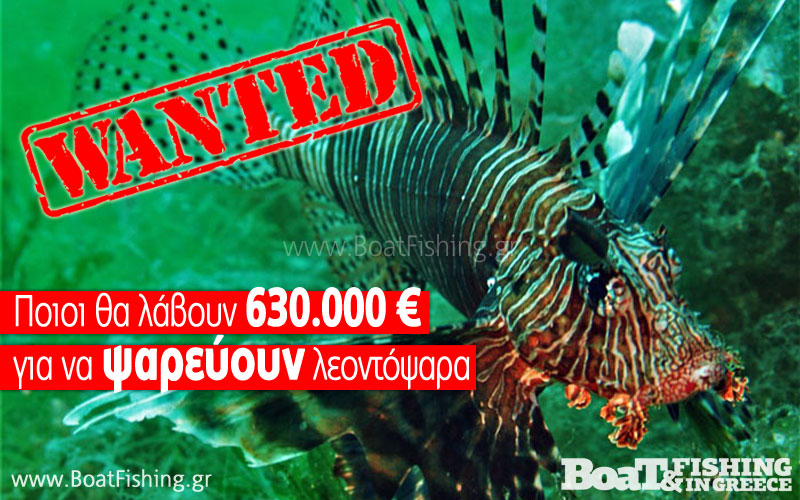 Ποιοι θα λάβουν 630.000 € για να ψαρεύουν λεοντόψαρα