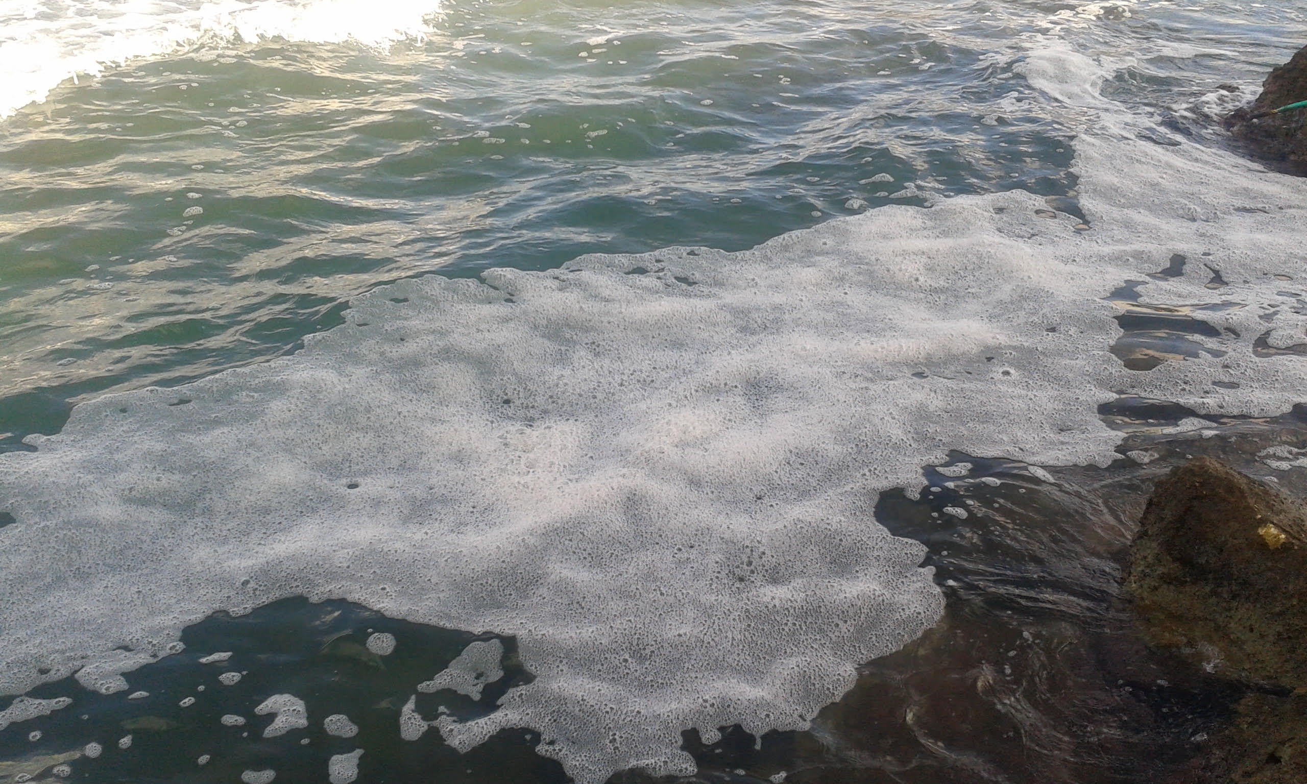 Σημάδια θαλάσσιας ρύπανσης στα Ταμπακαριά