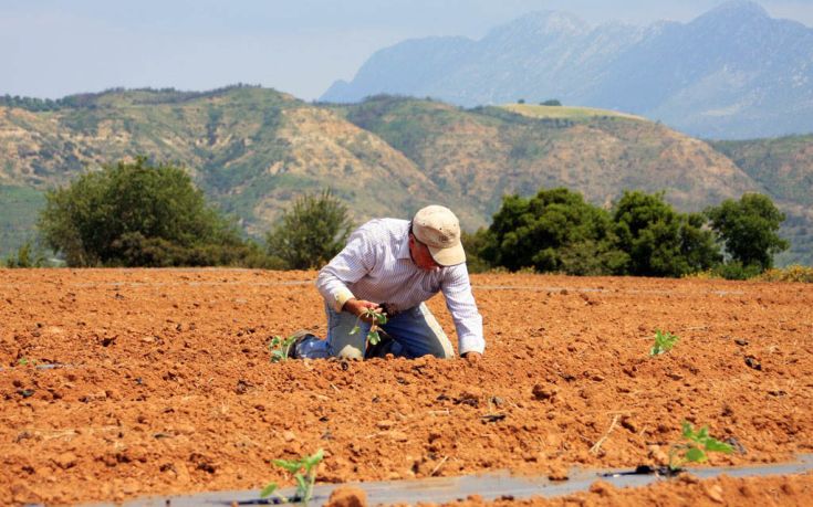 Πάνω από 28 εκατ ευρώ για επενδύσεις σε γεωργικές εκμεταλλεύσεις στην Κρήτη