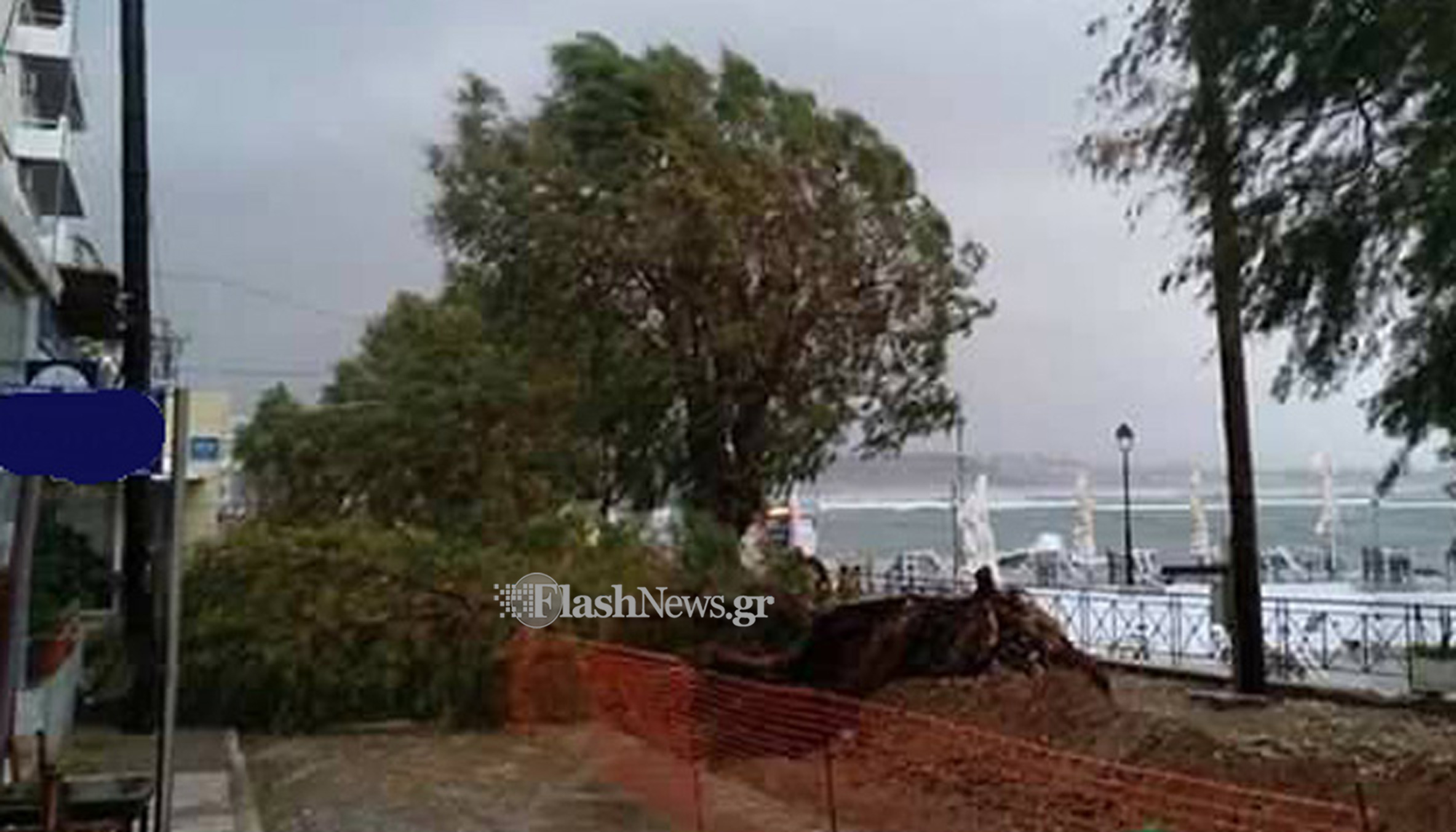 Απίστευτη εικόνα στην παραλία της Νέας Χώρας- Έπεσαν ολόκληρα δέντρα (φωτο)