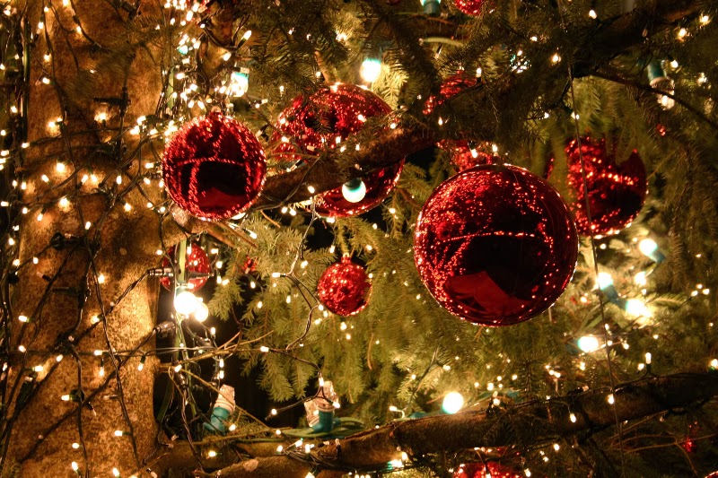 Δωρεάν φωτογράφηση με χριστουγεννιάτικο φόντο στην Χριστουγεννιάτικη Αγορά
