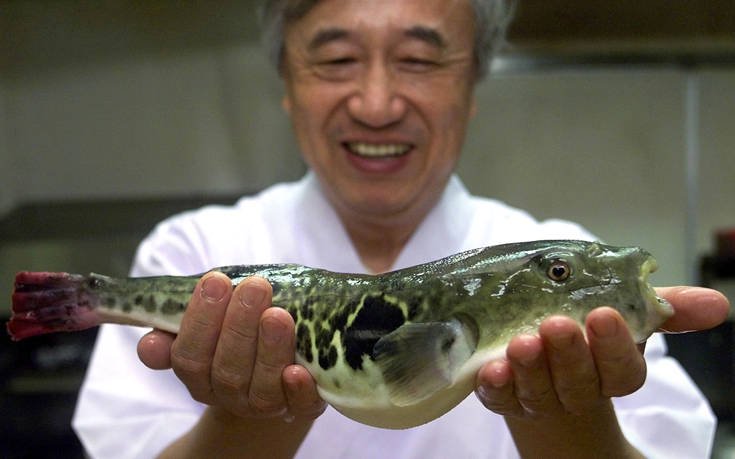 Συναγερμός σε ιαπωνική πόλη για δηλητηριώδες ψάρι που πουλήθηκε κατά λάθος