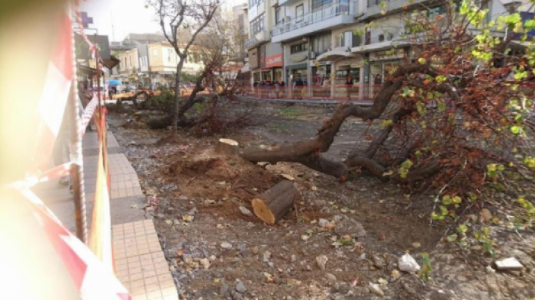 Ενεργοί Πολίτες: “Κοπή δέντρων … Διαρκές ατόπημα της Δημοτικής αρχής”