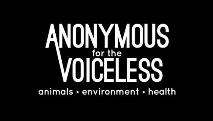 Anonymous For the Voiceless: O δεύτερος «κύβος της αλήθειας» στα Χανιά