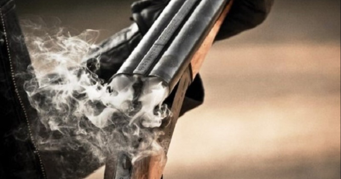 Θεσπρωτία: Καταγγελίες για νεκρά άλογα από πυροβολισμούς με κυνηγετικό όπλο