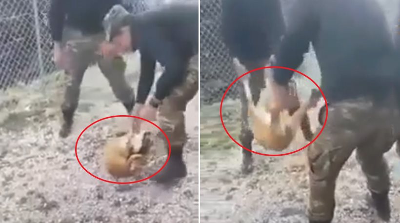 Ανακοίνωση του ΓΕΣ για το σοκαριστικό βίντεο με φαντάρους που πέταξαν σκύλο
