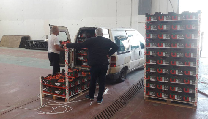 Ντοματοπαραγωγοί προσέφεραν 17 τόνους ντομάτες σε φορείς των Χανίων