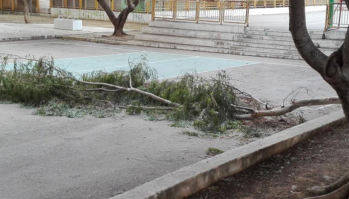 Μεγάλο κλαδί έπεσε στην αυλή σχολείου στα Χανιά – Ευτυχώς που ήταν κλειστό