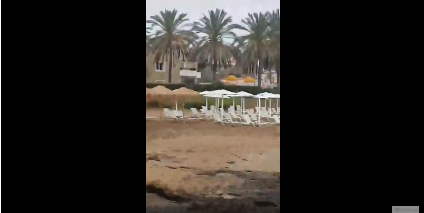 Απρόσμενοι επισκέπτες  – Δείτε τι αντίκρισε σε παραλία των Χανίων (βίντεο)