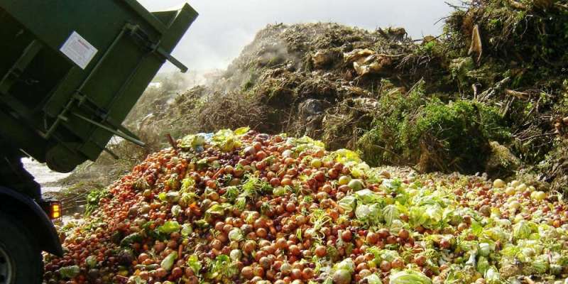 Σοκ: Οι Αμερικανοί πετούν στα σκουπίδια 150.000 τόνους τροφίμων την ημέρα
