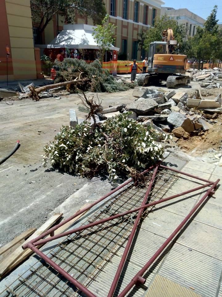 “Ο Δήμος Ηρακλείου δεν τήρησε τις δεσμεύσεις του για τα δέντρα”(φωτος)
