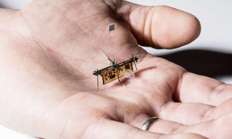 Επιτυχημένη πτήση για το πρώτο ρομποτικό έντομο