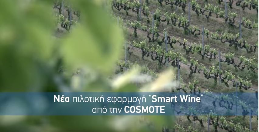 COSMOTE: Τεχνολογία ΝΒ-ΙοΤ για τη διασφάλιση της ποιότητας του κρασιού