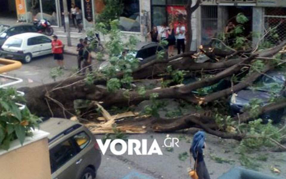 Πτώση δέντρου στο κέντρο της Θεσσαλονίκης – Φθορές σε δύο οχήματα