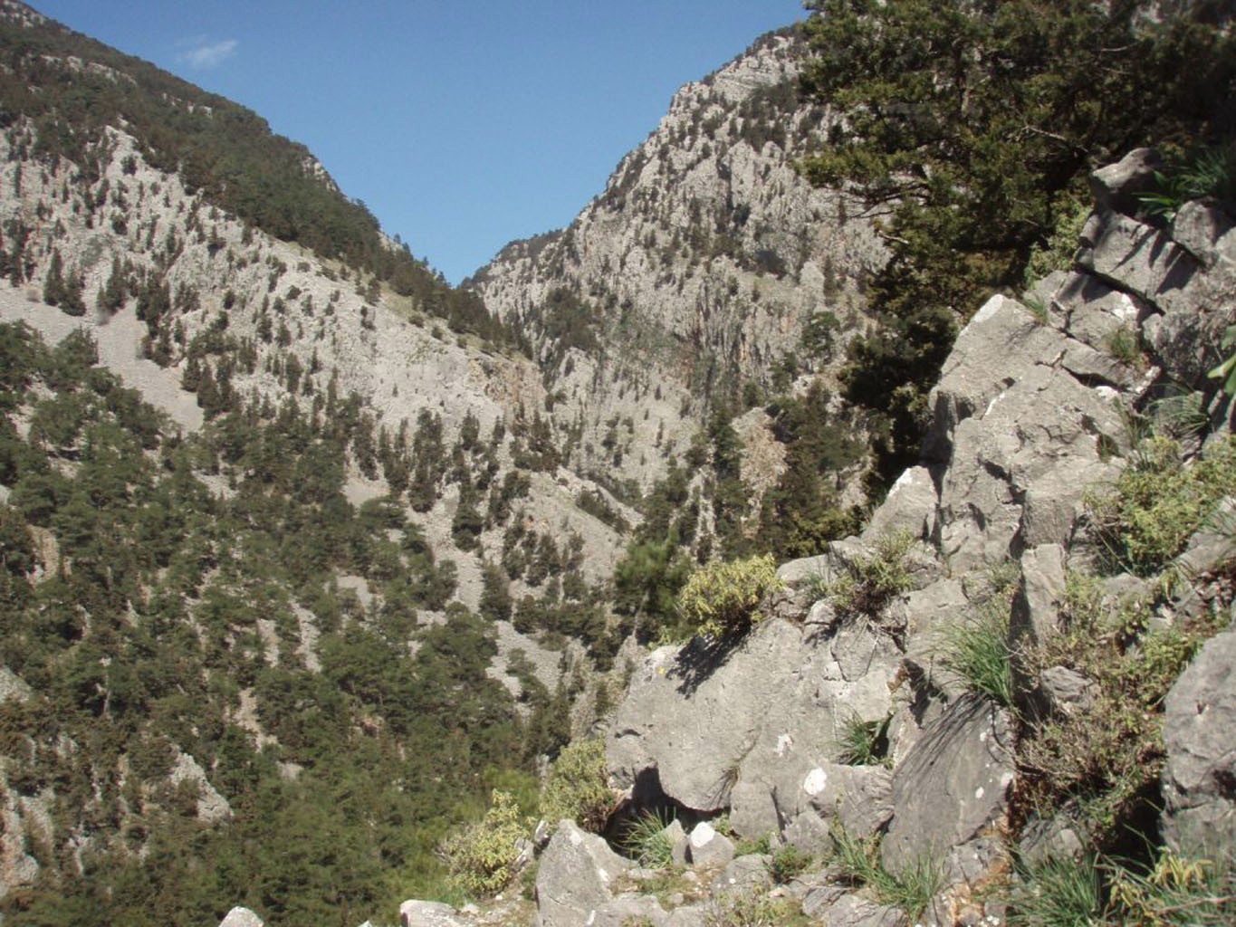 Ο Ορειβατικός Σύλλογος Χανίων στο Φαράγγι Τρυπητής