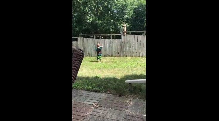 Δίχρονος και σκύλος παίζουν με μια μπάλα πάνω από έναν φράχτη