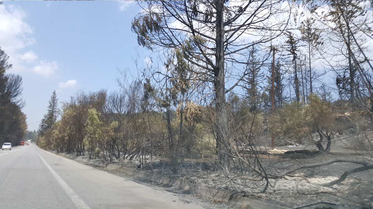 Αποζημιώσεις δήμου Αποκορώνου στους πληγέντες από τη φωτιά