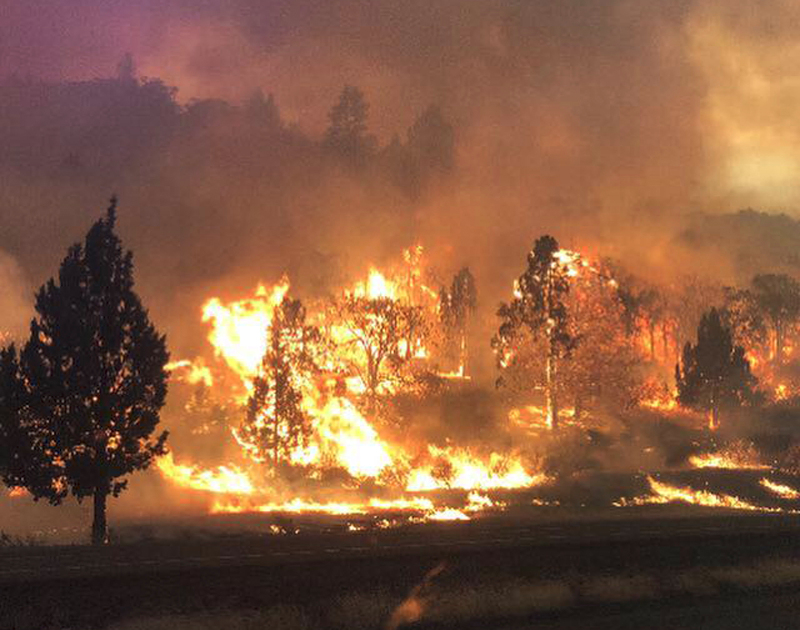 Ανεξέλεγκτη η πυρκαγιά στην Καλιφόρνια- Εκκενώθηκαν σπίτια, ένας νεκρός
