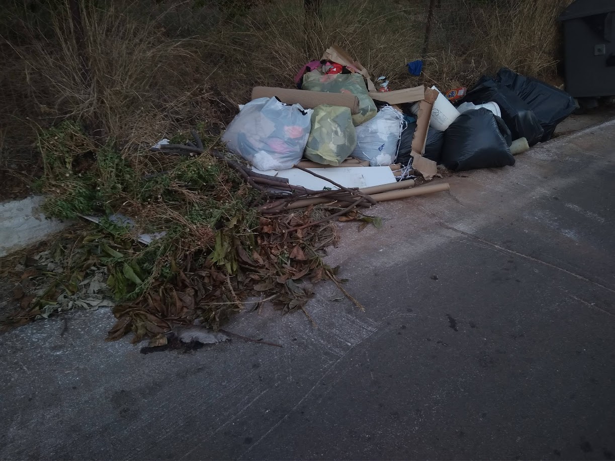 Σκουπίδια μόνο έξω από τον κάδο στον δρόμο των Περιβολίων (φωτο)