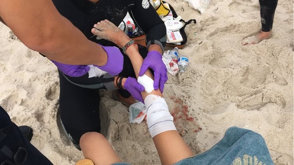 ΗΠΑ: Καρχαρίας επιτέθηκε σε παιδιά στο Λονγκ Άιλαντ