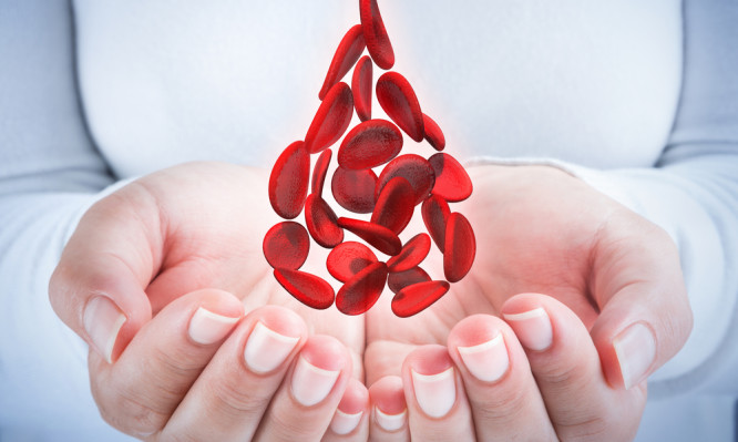 Χαμηλός και υψηλός αιματοκρίτης: Τι σημαίνουν οι τιμές για την υγεία σας