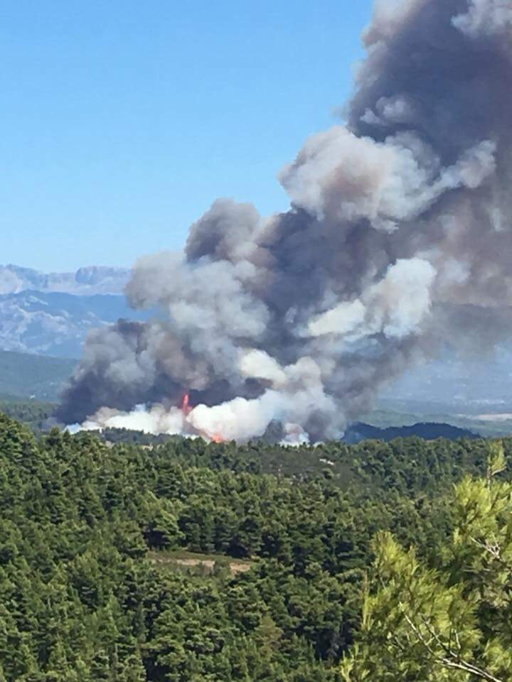 Πολύ υψηλός κίνδυνος πυρκαγιάς σήμερα σε Μεσσηνία και Λακωνία